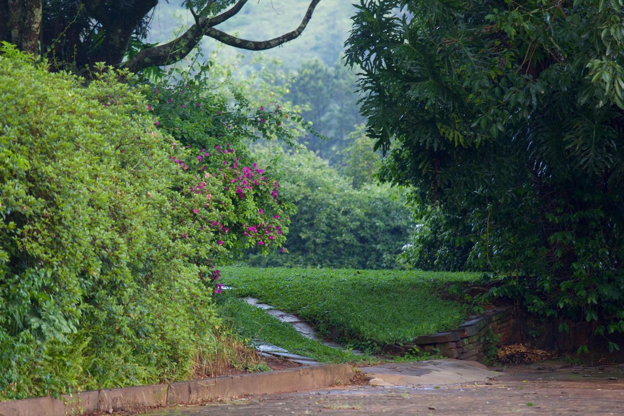 Pousada Fazenda Pinhalzinho Ribeirao Claro Exterior photo