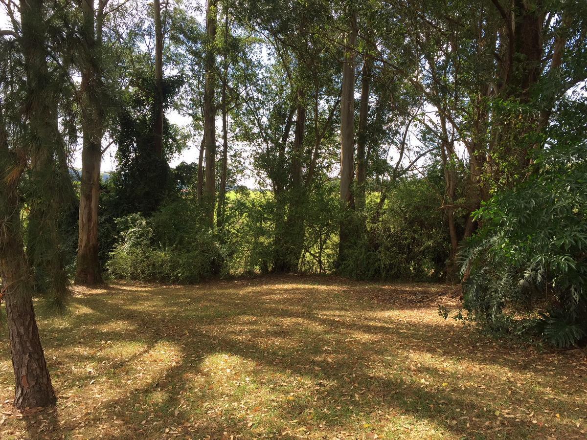 Pousada Fazenda Pinhalzinho Ribeirao Claro Exterior photo